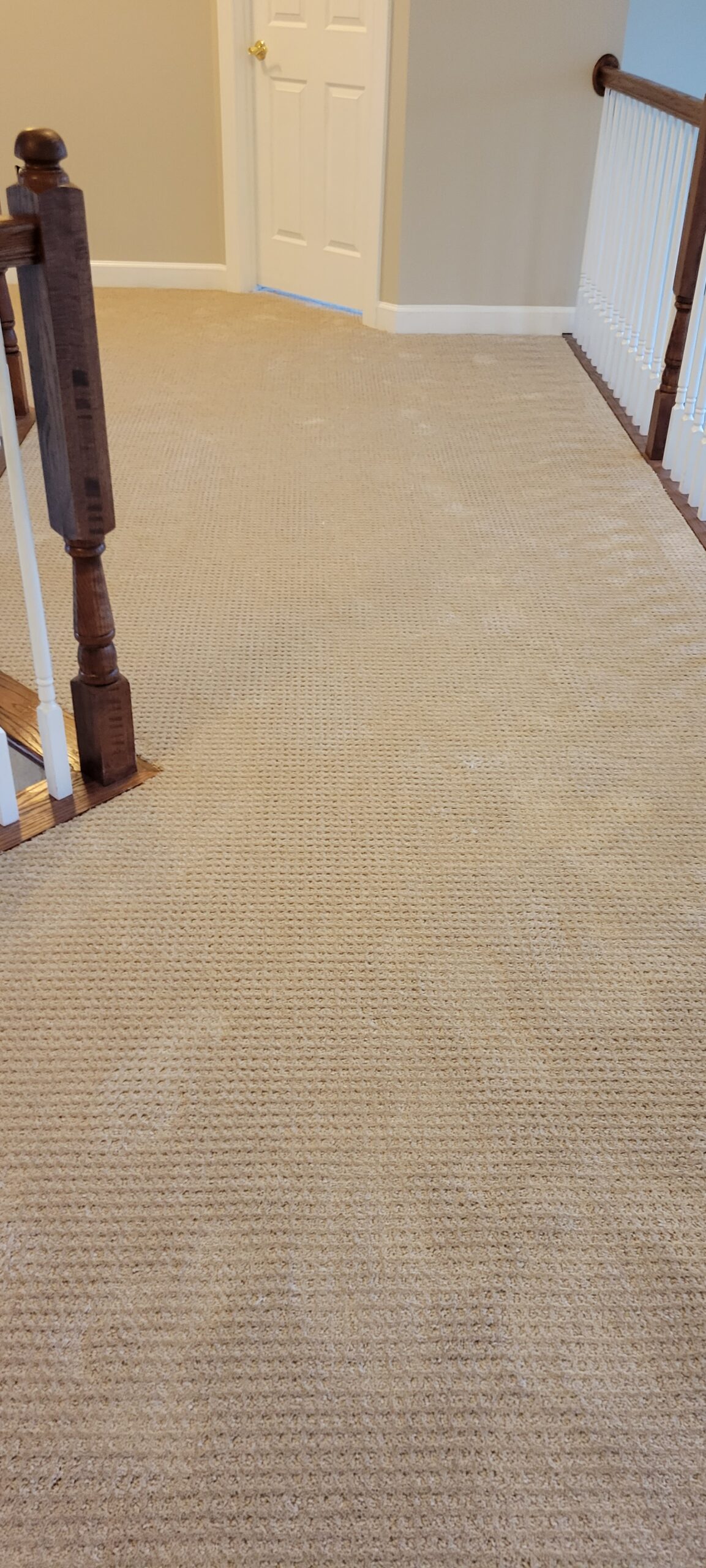 carpet(1)