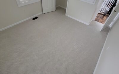 Carpet